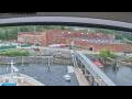 Webcam Norwegian Jade