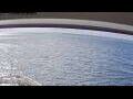 Webcam Norwegian Jade