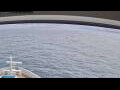 Webcam Norwegian Jade