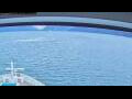 Webcam Norwegian Jade
