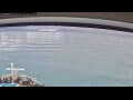 Webcam Norwegian Jade