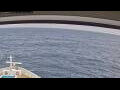 Webcam Norwegian Jade