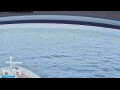 Webcam Norwegian Jade