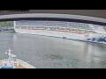 Webcam Norwegian Jade