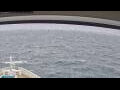 Webcam Norwegian Jade