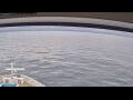 Webcam Norwegian Jade