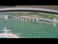 Webcam Norwegian Jade