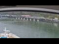 Webcam Norwegian Jade