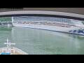 Webcam Norwegian Jade