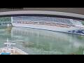 Webcam Norwegian Jade
