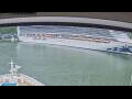 Webcam Norwegian Jade