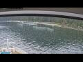 Webcam Norwegian Jade