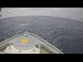 Webcam Norwegian Joy