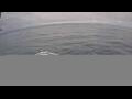 Webcam Norwegian Joy