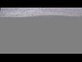 Webcam Norwegian Joy