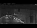 Webcam Norwegian Prima