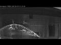 Webcam Norwegian Prima