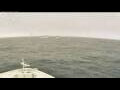 Webcam Norwegian Spirit