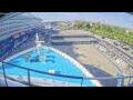 Webcam Norwegian Sun