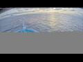 Webcam Norwegian Sun