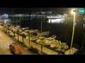 Webcam Zadar