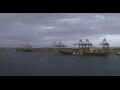 Webcam Viking Octantis