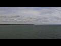 Webcam Viking Octantis