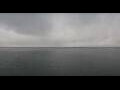 Webcam Viking Octantis