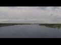 Webcam Viking Octantis