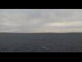 Webcam Viking Octantis
