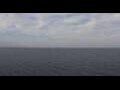 Webcam Viking Octantis