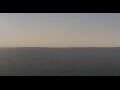 Webcam Viking Octantis