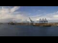 Webcam Viking Octantis