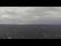 Webcam Viking Octantis