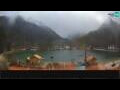 Webcam Kranjska Gora