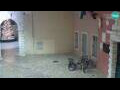 Webcam Rovinj