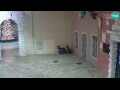 Webcam Rovinj