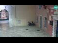 Webcam Rovinj