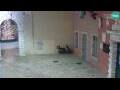 Webcam Rovinj
