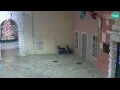 Webcam Rovinj