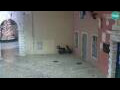 Webcam Rovinj
