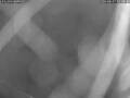 Webcam El Paso (La Palma)