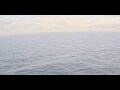 Webcam AIDAbella