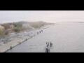 Webcam AIDAbella