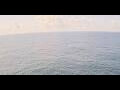 Webcam AIDAbella