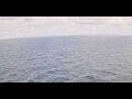 Webcam AIDAbella