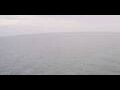 Webcam AIDAbella