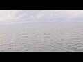 Webcam AIDAbella
