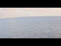 Webcam AIDAbella