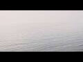 Webcam AIDAbella